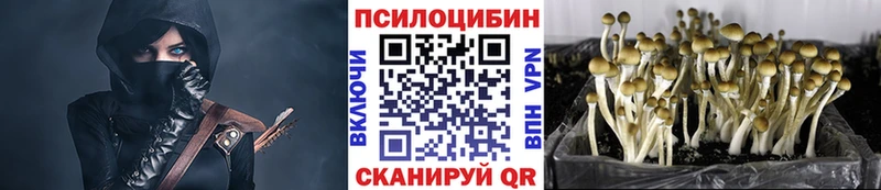 Галлюциногенные грибы Psilocybine cubensis Иннополис
